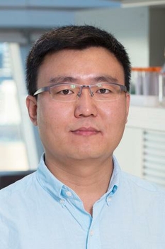 Dr Hongbo Liu photo
